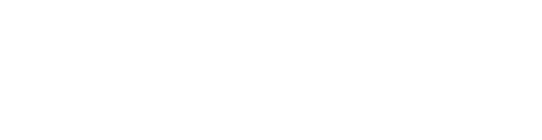 TWC Phoenix